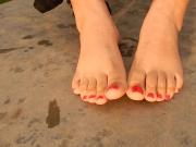 Soles