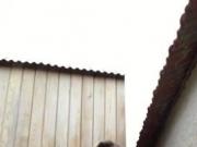 cigarro