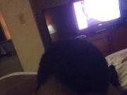 Sloppy toppy