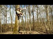 naked in a tree