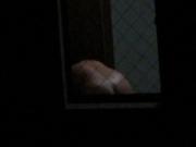 My neighbour on window - B - 2