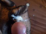 footjob pour stan