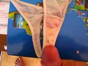 panty 31