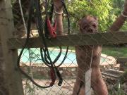 Ambers BDSM Slave-3 -Sc.2-