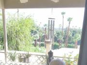 Patio Dildo Fuck On E Palm Canyon Dr Palm Springs CA