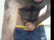 Turkish bear shows off on cam