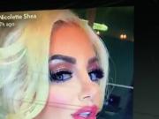 Tribute to Nicolette Shea