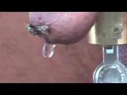 plug and kali's 3