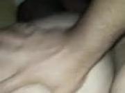 Fucking a Bear