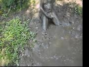 modder 7