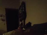 cuck hubby likes watching wife try bbc