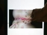 Tribute Trivutelady164