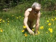 Rolling into the Flowers