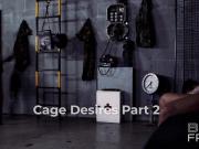 Caged Desires Part 2
