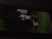 student couple kissing in college VID 20170607 211833.mp4