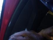 Na boleia 02