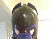 Spidey-Dog part 2