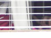 window voyeur couple sex