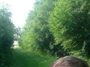 showing the place where i want to play