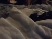 Milf Squirting for me to show the world