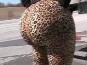 Leopard Bubble