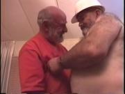 Dad need a worker Bear