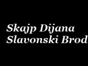 Skajp Dijana Slavonski Brod