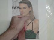 Taylor Swift Tribute 12