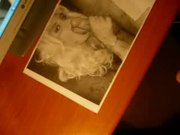 Tribute cumshot for Rosa Canale 1