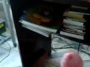 Gatinho mostrando a rola