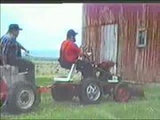 Farm-Bears