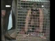 Caged Slave