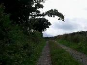 Naked on footpath road and farm track