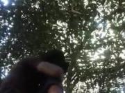 Sexo en el bosque