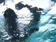 Playing in the pool
