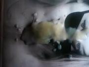 Cum tribute hot cute girl Irina
