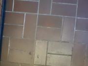Asian Escort With Older Client