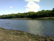 05072010001.mp4