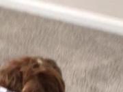 Wife gets strange