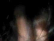 Cock