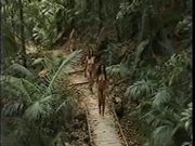 Naked hiking - 3 chicks