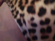Mis bragas de leopardo