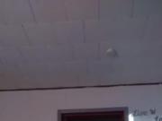 Creampie this pussy