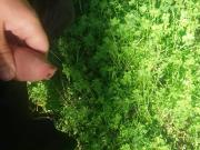 Huge Cumshot behind a Girl who's relaxing in a Park.