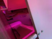 Tanning bed spy