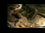 rtweetmyass - heavy dildo action ending with a gaping hole