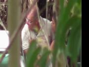Hidden Cam - Woods 15