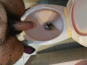 Anal tampon xtraction