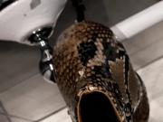 Cum inside sexy snakeskin heels