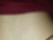 Anal laya
